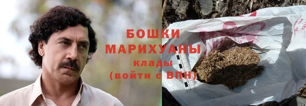 гашик Арсеньев