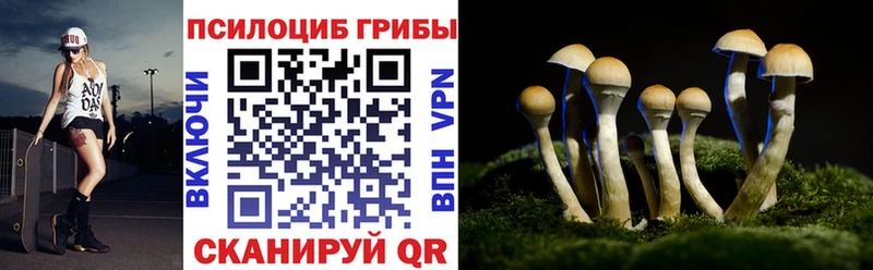 МЕГА Салаир Галлюциногенные грибы мухоморы